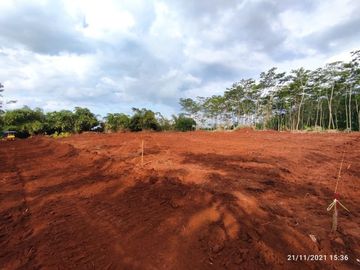 Tanah Dekat Jl. Karanganyar-Doro Pekalongan, SHM, Harga 700 Rb-an