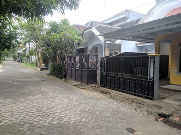 Real Estate Murah Tanah Luas Siap Huni Paling Murah Area Sukun Malang