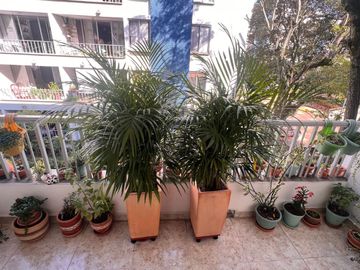 VENTA DE APARTAMENTO EN CAÑAVERAL POR PARALELA FLORIDABLANCA Área 106 Metros. Cod V24169