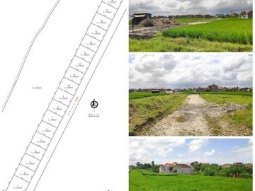 Kavling Ekonomis Harga Miring lokasi Abianbase, Mengwi
