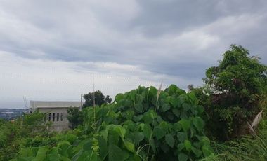 Vista Grande 169 sqm lot for sale with sea view in Talisay Cebu City