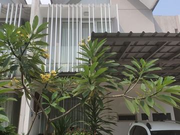 Rumah Mewah Di Sektor 9 (CPA 4155.BR)