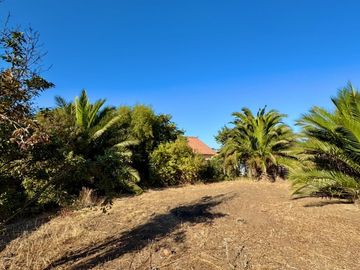 SITIO EN LAGUNA DE ZAPALLAR