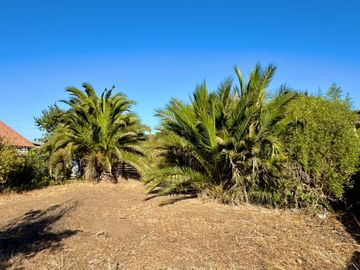 SITIO EN LAGUNA DE ZAPALLAR