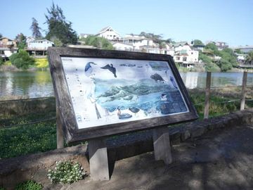 SITIO EN LAGUNA DE ZAPALLAR