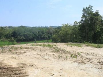 Tanah Nanggulan Luas 200 m2, Dekat Kopi Ampirono, SHM