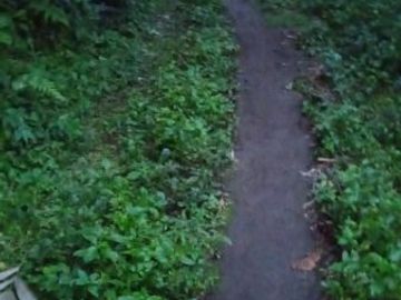 Dijual Tanah Pekarangan di Wonokerto, Turi: Lingkungan Asri