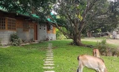 8 Hectare Developed Agricultural Farm with Villa For Sale in Nasugbu Batangas