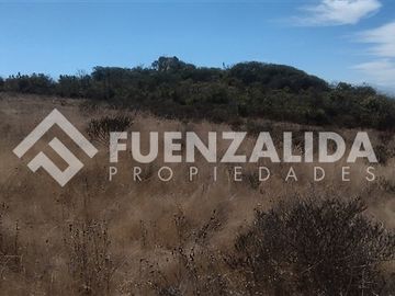 Condominio Rocas del Mar. Sitio 5.000 m2 Los Molles.