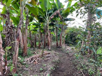 CASA CAMPESTRE EN FILANDIA