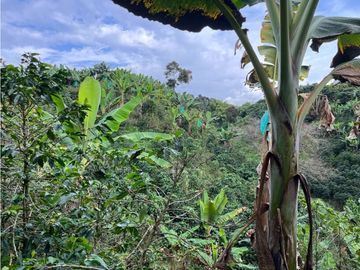 CASA CAMPESTRE EN FILANDIA