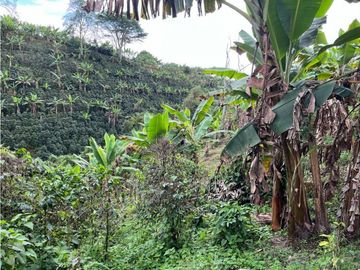 CASA CAMPESTRE EN FILANDIA