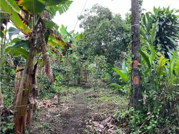CASA CAMPESTRE EN FILANDIA