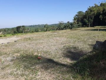 Hanya Terisa 3 Unit, Tanah Termurah di jember
