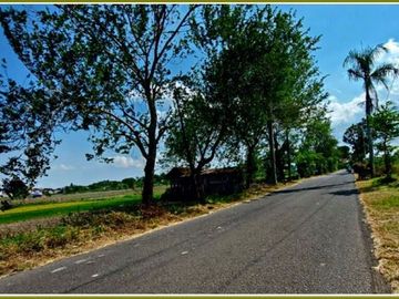 Tanah Kavling Mangku Jalan Bugisan SHM