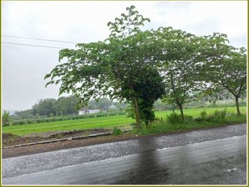 Tanah Kavling Mangku Jalan Bugisan SHM