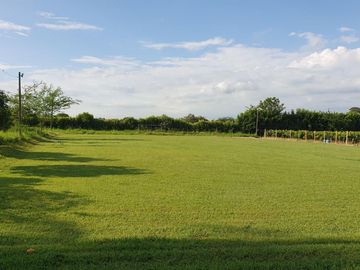 finca en venta en corregimiento santa elena. Cod V16144
