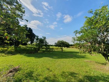 finca en venta en corregimiento santa elena. Cod V16144