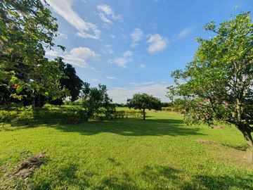 finca en venta en corregimiento santa elena. Cod V16144