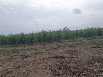 Terreno en Venta Sector Taura, el Mango