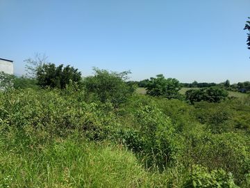 VENTA 4 Lotes Campestres en La CIENEGUITA a 800 m Carr. Juarez-Santiago, Tranqui