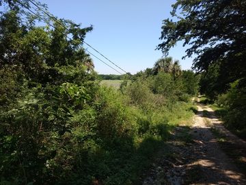 VENTA 4 Lotes Campestres en La CIENEGUITA a 800 m Carr. Juarez-Santiago, Tranqui