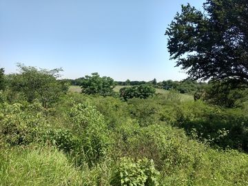 VENTA 4 Lotes Campestres en La CIENEGUITA a 800 m Carr. Juarez-Santiago, Tranqui
