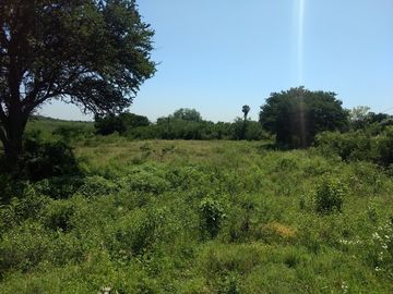 VENTA 4 Lotes Campestres en La CIENEGUITA a 800 m Carr. Juarez-Santiago, Tranqui