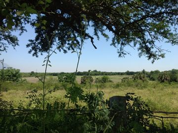 VENTA 4 Lotes Campestres en La CIENEGUITA a 800 m Carr. Juarez-Santiago, Tranqui