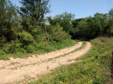 VENTA 4 Lotes Campestres en La CIENEGUITA a 800 m Carr. Juarez-Santiago, Tranqui