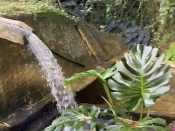finca en venta en calima. Cod V16736