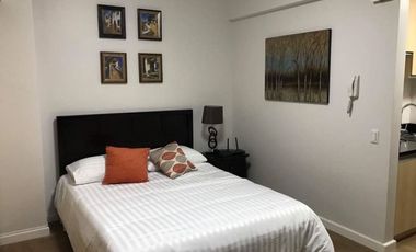 Furnished Studio Condominium located in Solinea Tower