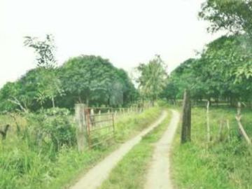 Terreno para inversión comercial en venta en Tierra Blanca, Veracruz.