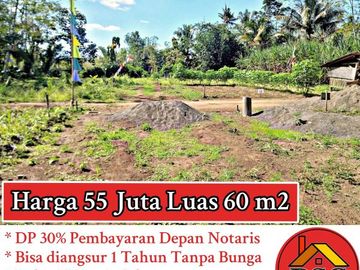 Dijual Tanah Kavling Lokasi di Desa Palaan - Kec. Ngajum