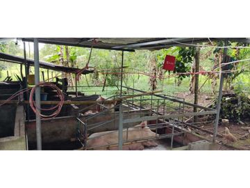 VENDO CASA CON TERRENO DE 2000M2 EN SANTO DOMINGO