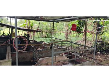 VENDO CASA CON TERRENO DE 2000M2 EN SANTO DOMINGO