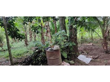 VENDO CASA CON TERRENO DE 2000M2 EN SANTO DOMINGO
