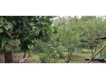VENDO CASA CON TERRENO DE 2000M2 EN SANTO DOMINGO
