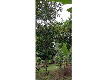 VENDO CASA CON TERRENO DE 2000M2 EN SANTO DOMINGO