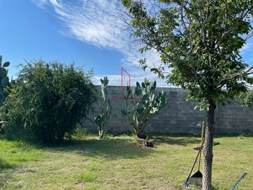 Granja Nogalera Venta Los Trigales 3,520,000 Margam R136