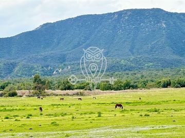 Sitio en venta en Santa Rita de Pirque