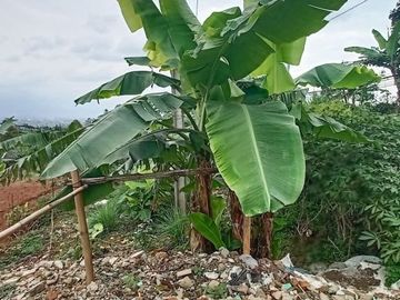Di Jual Tanah 6.925 m2 Cocok Untuk Cluster di Jl. Jatihandap Bandung