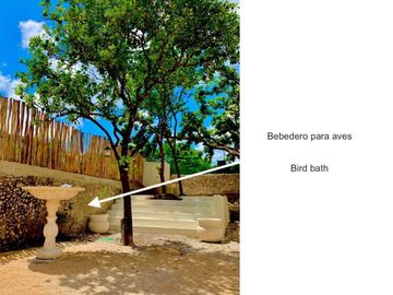 Casa con alberca privada, doble altura, jardin interior, bar con columpios, cerc