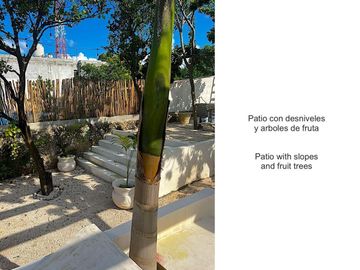 Casa con alberca privada, doble altura, jardin interior, bar con columpios, cerc