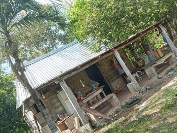 Rancho en Venta, 218 Has en Sucila, Yucatán