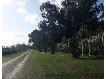 TRES HECTREAS CON SALON COMERCIAL