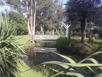 TRES HECTREAS CON SALON COMERCIAL