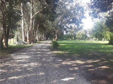 TRES HECTREAS CON SALON COMERCIAL