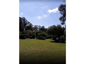 TRES HECTREAS CON SALON COMERCIAL