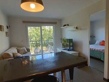 Venta departamento de 1 dorm. Condominio Pucón Andino